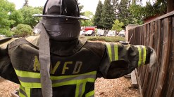 Fire Station Garden Getting Noticed