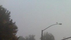 Today's Weather Brings Heavy Fog, High Surf