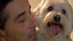 Chicago Hospital Allows Visiting Hours For Pets