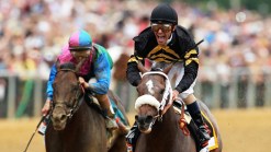 Belmont Stakes: Oxbow vs. Orb in the Cards