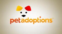 Pet Adoptions: 