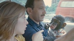 New on Home Video: