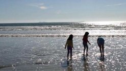 Just in Time for Summer: Beach Report Card