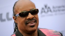 Stevie Wonder Cancels Israeli Benefit Concert 