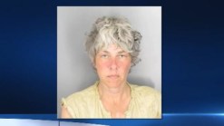 Police: Concord Woman Suspected of Sparking Wildfire