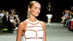 Wang's Gravity-Defying Cut-Outs for Spring