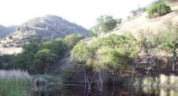Private Money Saves Henry Coe Park