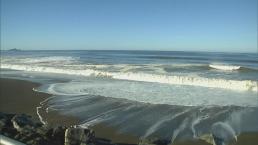 Surf's Up! Dangerous Waves Along Pacific Coast