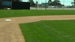 Field of Dreams