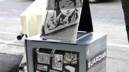 Empty Newspaper Racks Find New Life in Flower Power
