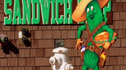 San Francisco's Pickle Bandito Escapes, Returns Home
