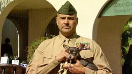 Rescued Chihuahua to Work with Marines