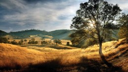 Golf in Gold Country