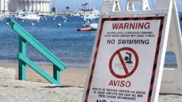 7 of 10 Dirtiest CA Beaches Are in LA County