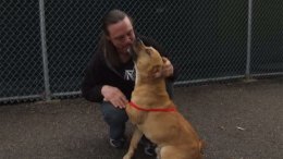Surprise Donation Reunites Dog Owner With Pet