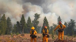 Ponderosa Wildfire Calming Down
