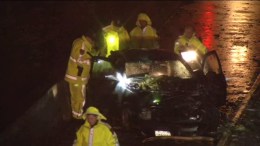 Tree Falls on Car, 1 Killed