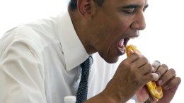 Just Your Average Joe-Bama