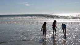 Just in Time for Summer: Beach Report Card