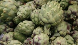 Dippable, Leafy, and Full of Heart: Artichoke Fest