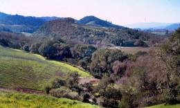 North Coast State Parks Back in Action