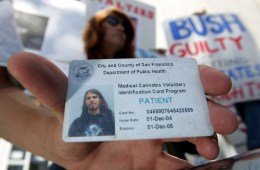 Medical Marijuana Weighing on Child Custody Disputes