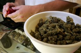 Why Pot Could be State's New Cash Crop