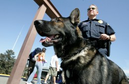 K9 Competition Features Police Dog Takedowns