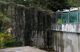 The San Francisco Zoo a Year After the Attacks
