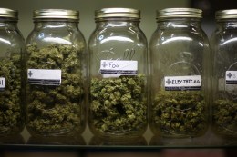 Pro-Pot Ads Lighting Up the Internet
