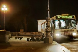 Riders Resigned to Muniserable Service Cuts
