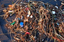 Cleaning the Pacific, One Vacuum Cleaner at a Time