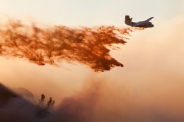 Photos From the Fire Line
