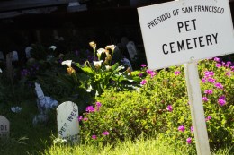 Images of the Presidio Pet Cemetery