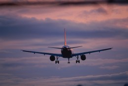 Birds Shot Daily at Bay Area Airports