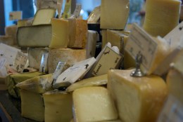 Cheese Company Fouls Well Water