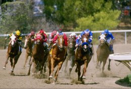 Spooked Race Horse Crushes Rider at Golden Gate Fields