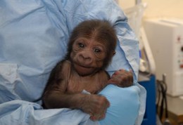 Even a Mother Can't Love This Face