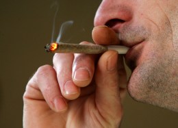 Surprise! Both Red and Blue Want Pot Legal