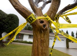 X-Rays Needed to ID Victims in "Santa" Killer Case