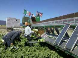 A Day in the Life of a Farmworker