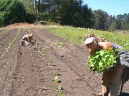 Slow Foodies Mum on Labor Issues