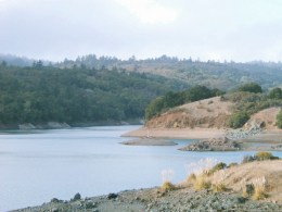 Mercury-Laden Fish Found in San Francisco's Water Supply