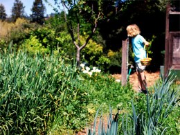 Good Eats at This Bay Area School