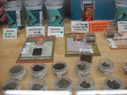 Bay Area Growers Hope to Trademark Pot Strains