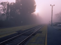 High-Speed NIMBYs Slow Down Bullet Train