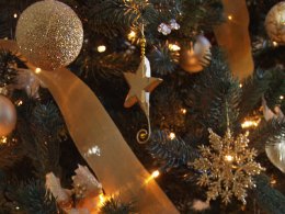 Sonoma's Starless Christmas