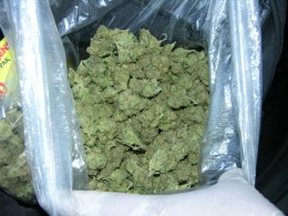 California Pot Users -- Start Jumping for Joy