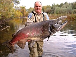 Salmon Season Canned