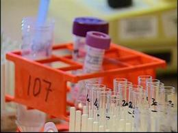 Cable Could Help Solve Peninsula Cold Cases